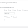 Settings page of the Advanced Random Featured Image Inserter plugin, offering options for configuring WordPress posts, pages, media, products, or product reviews with dynamic images in specific sizes and H2 tag range.